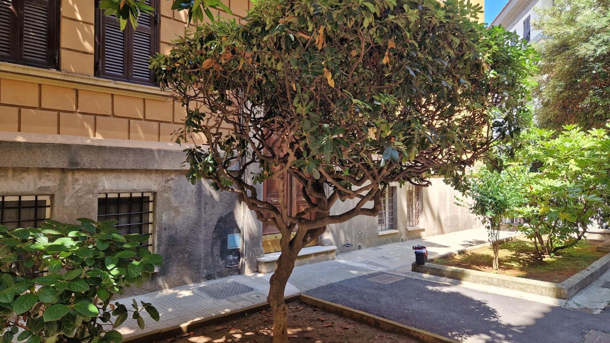 Borghese Magnolia Suite Rome Exterior photo
